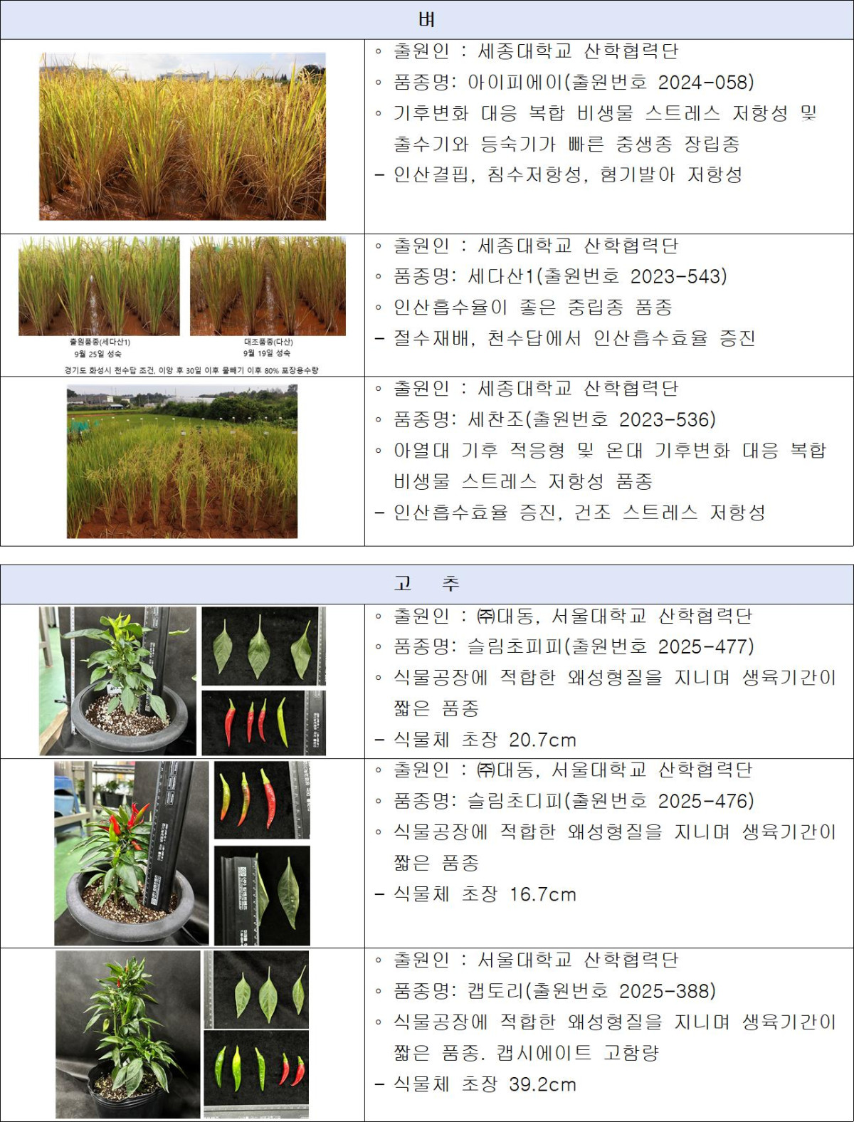 ▲기후변화, 수직농장 적합 출원품종 (사진제공=국립종자원)