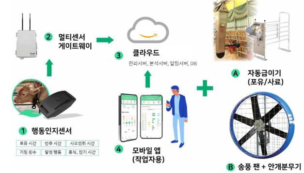 ▲정밀 사양관리를 통한 생산성 향상 및 고온 스트레스 저감을 위한 환경제어 모델 모식도 (자료제공=축산물품질평가원)