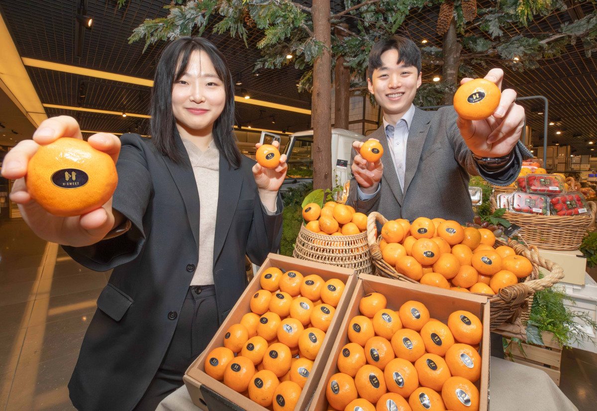 ▲21일 서울시 강남구 현대백화점 무역센터점 지하1층 식품관에서 직원들이 고당도 감귤 'H스위트(H-SWEET) 17'를 소개하고 있다.