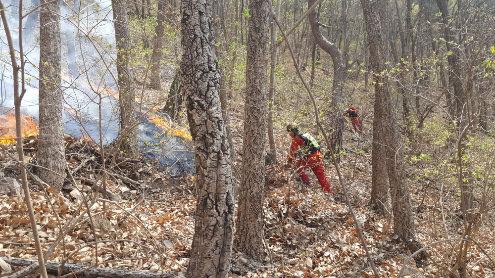 ▲21일 오후 3시 31분께 전남 광양시 옥곡면에서 산불이 나 산림청과 소방 당국이 진화작업을 벌이고 있다.  (사진제공=소방청)