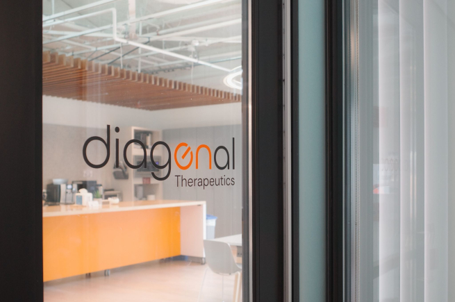 디아고날, 시리즈B 1.25억弗..'클러스터링 항체' 임상