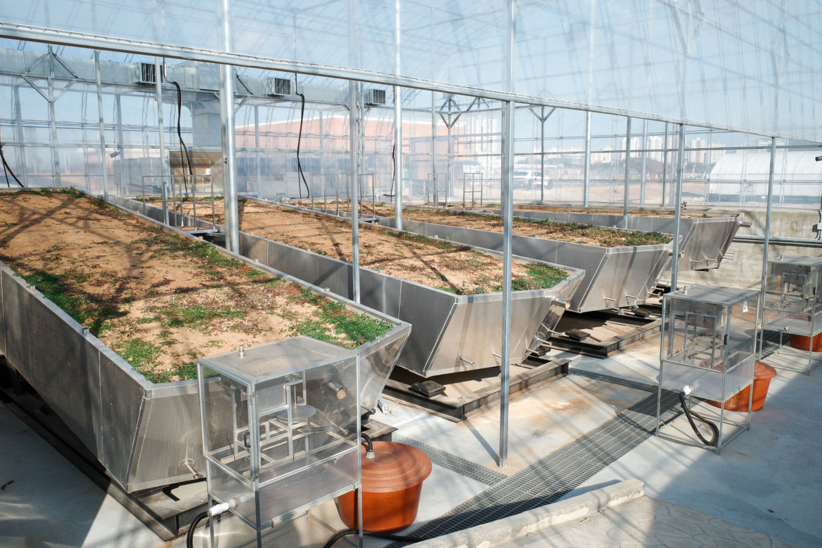 ▲농촌진흥청 미래강우동 내부 (공동취재단)