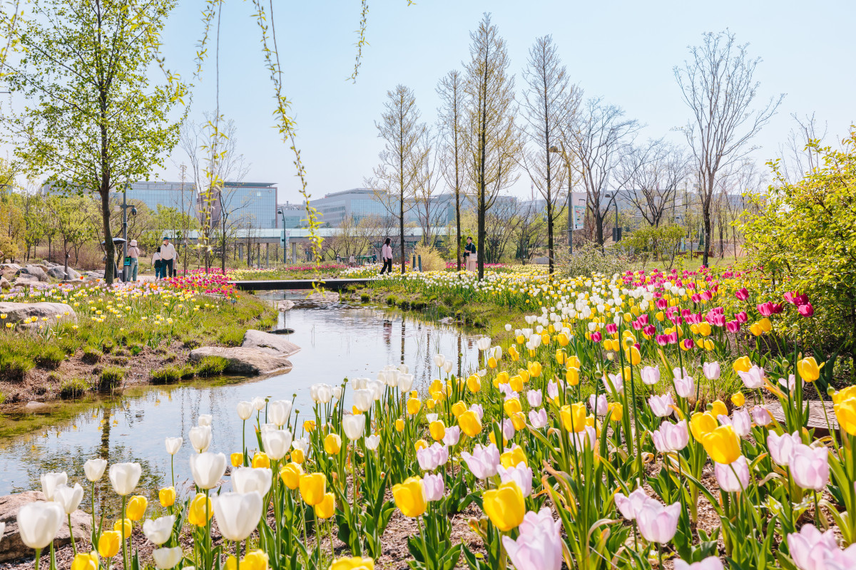 ▲봄에 촬영한 서울식물원 사진 (서울시)