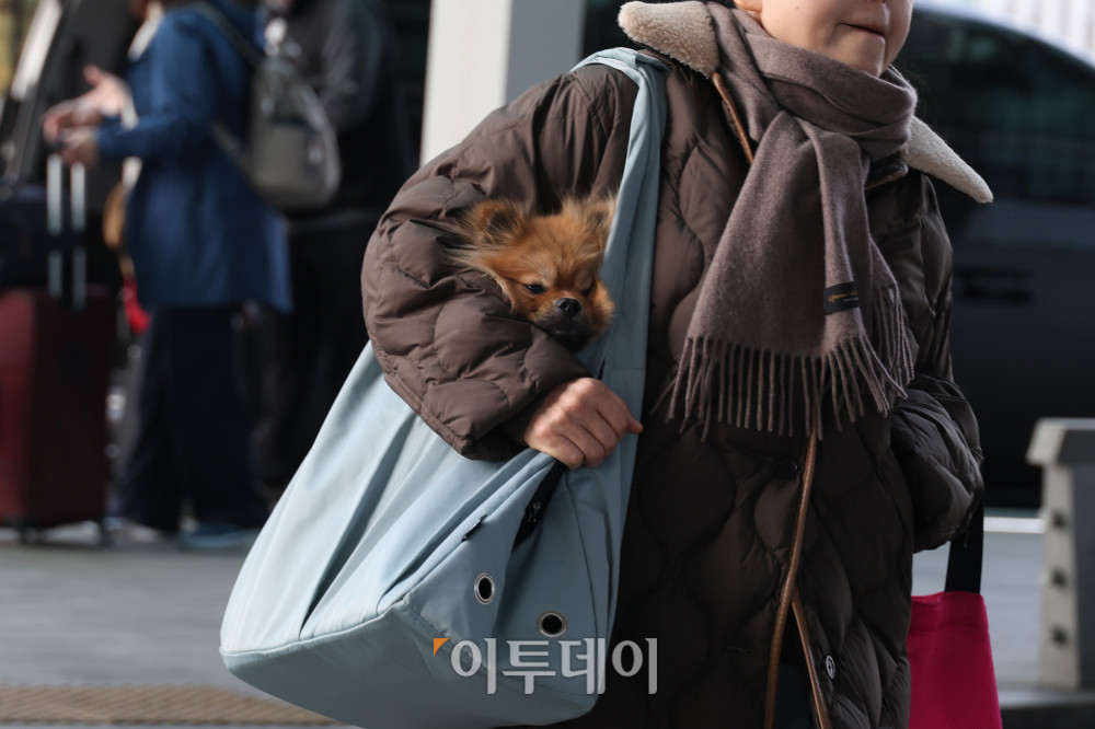 (고이란 기자 photoeran@)