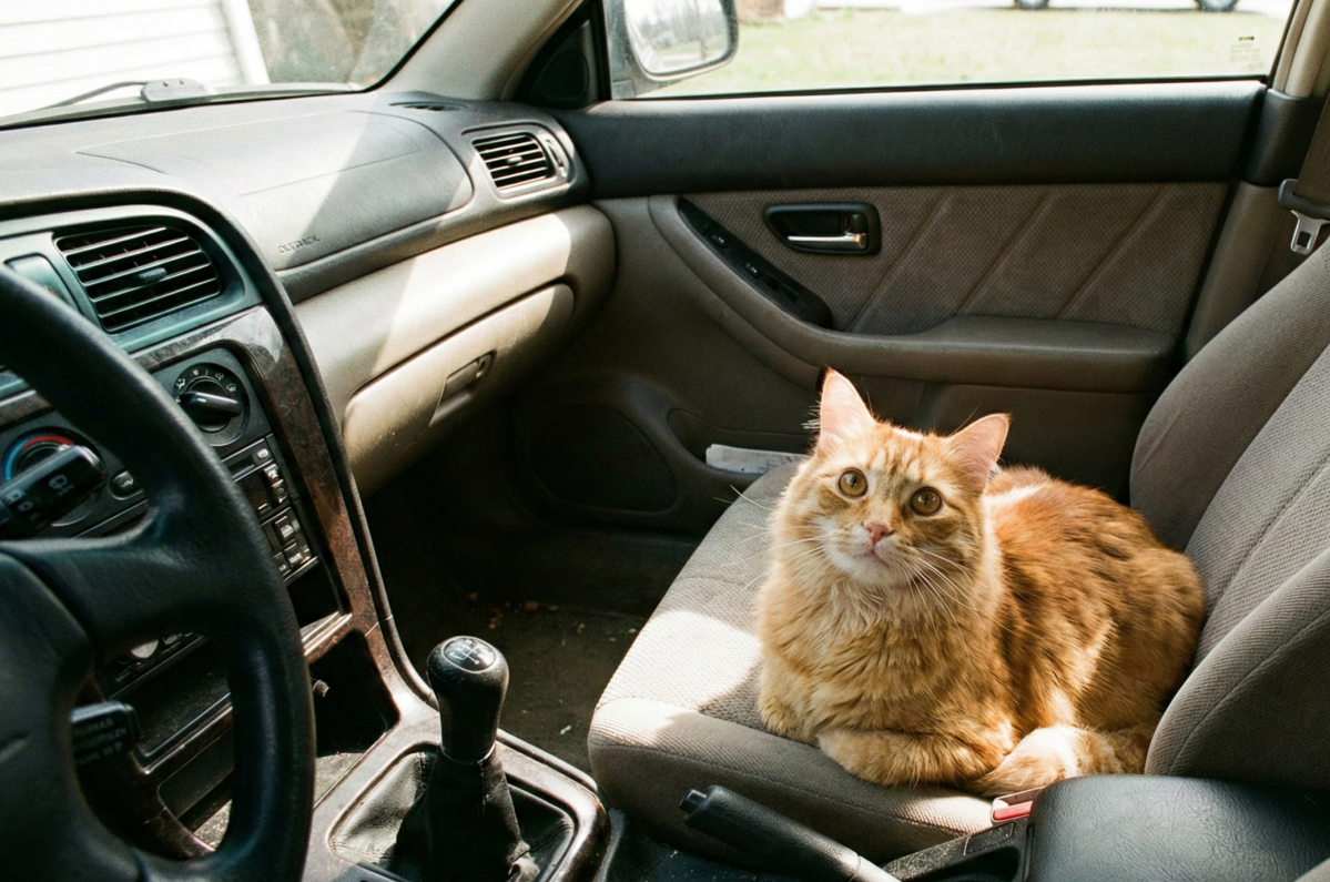 (이미지=AI 생성)