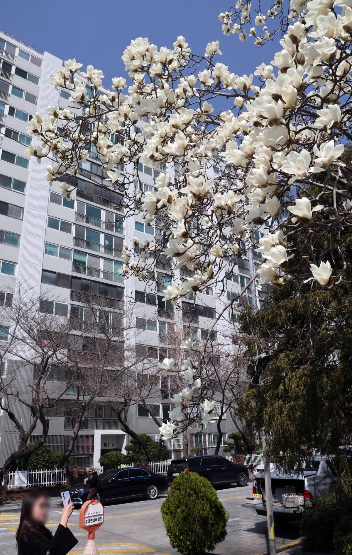 ▲부산 수영구의 한 아파트 단지 모습. (뉴시스)