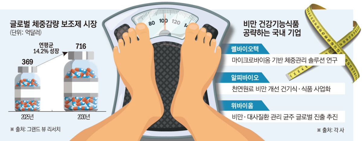 (그래픽=손미경 기자 sssmk@)