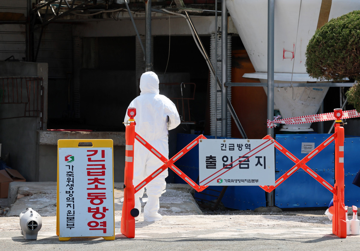 ▲구제역 방역 활동. (연합뉴스)