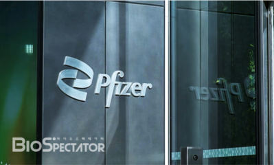 화이자 CEO "비만시장, '비아그라' 흡사..초장기에 전력"