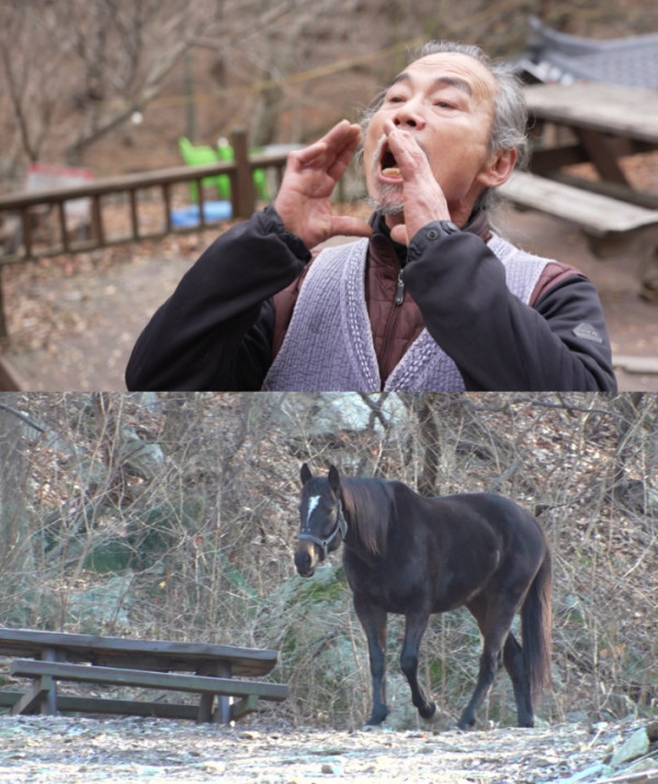 ▲'TV동물농장' (사진제공=SBS )