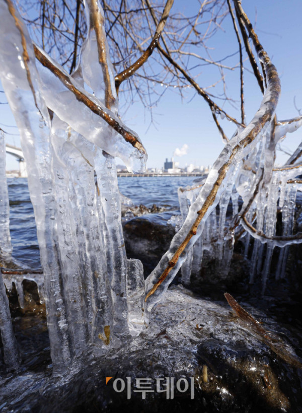 ▲서울을 포함한 수도권과 전국 곳곳에 한파 특보가 발효된 8일 서울 영등포구 양화한강공원에 고드름이 얼어 있다. 이날 기상청에 따르면 전날 오후 9시부터 서울과 경기북부·남동부, 강원도, 충북, 경북권에 한파주의보가 발효중이다. 매서운 추위는 한낮에도 이어지면 낮 동안 중부내륙 지역은 기온이 0도를 밑돌 것으로 예보됐다. 조현호 기자 hyunho@