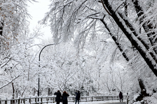 ▲남산 폭설(이투데이DB)