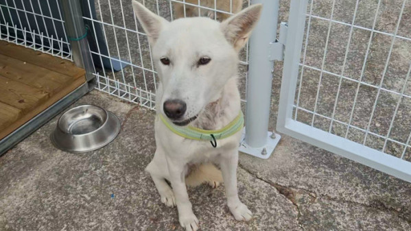 ▲'TV동물농장' (사진제공=SBS )