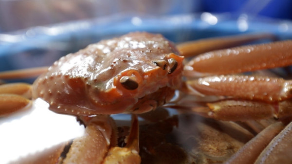 ▲'한국기행' (사진제공=EBS1 )