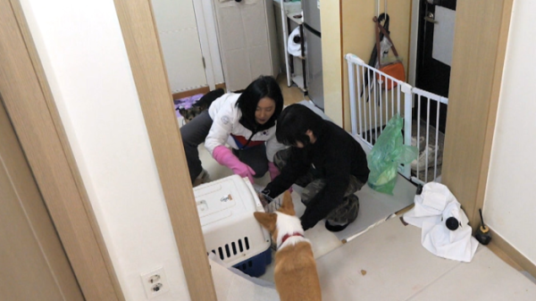 ▲'개는 훌륭하다' (사진제공=KBS 2TV)