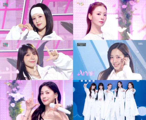 ▲에이핑크(사진제공=각 방송사)