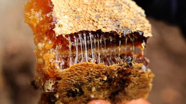 ▲'동네한바퀴' 봉화(사진제공=KBS 1TV)