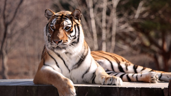 ▲'동네한바퀴' 봉화 (사진제공=KBS 1TV)