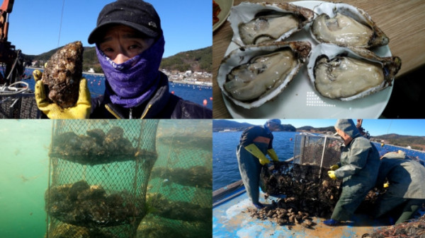 ▲'극한직업' (사진제공=EBS1 )