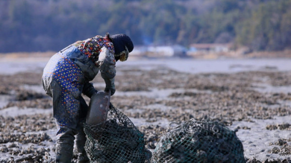 ▲'한국기행' (사진제공=EBS1 )