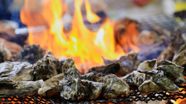 ▲'한국기행' (사진제공=EBS1 )