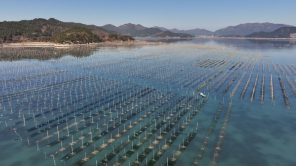 ▲'한국기행' (사진제공=EBS1 )