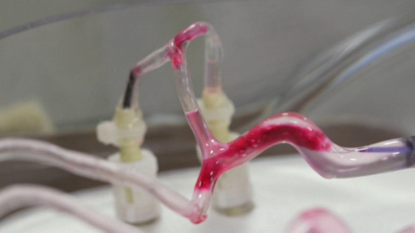 ▲'명의' (사진제공=EBS1 )