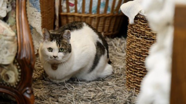 ▲'동네한바퀴'(사진제공=KBS 1TV)