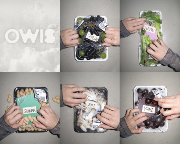 ▲OWIS(오위스)(사진=ama 제공)