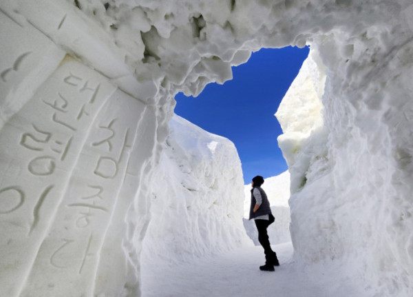 (대관령눈꽃축제위원회)