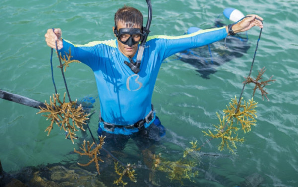 ▲아야나 코모도(사진 제공=아야나 리조트))