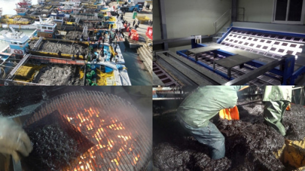 ▲'극한직업' (사진제공=EBS1 )