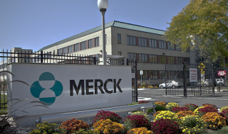 머크, ‘B7-H3 ADC’ 소세포폐암 3상 “FDA 보류해제”