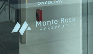 몬테로사, NLRP3 타깃 'NEK7 분자접착제' 1상 "인상적"