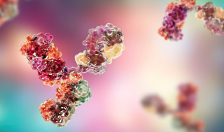 서밋, ‘PD-1xVEGF’ EGFR변이 폐암 “FDA 심사시작”