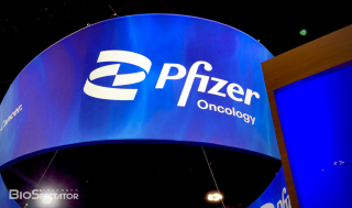 화이자, TOP1 '메소텔린 ADC' 중단..초기 항암제 2건도