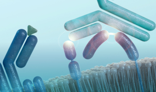 제나스, ‘이중타깃 항체’ 자가면역 3상 “기대 이하”