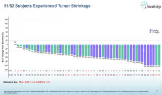 에이비엘 "베팅", 'CLDN18.2x4-1BB' 위암 "긍정적 PFS"