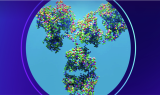 알베우스, 비만 "분기투여" 'MariTide 전략' 1.6억弗 출범
