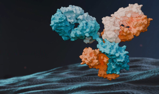 에피바이오, 시리즈B 1.07억弗..EGFR ‘이중항체 TPD’