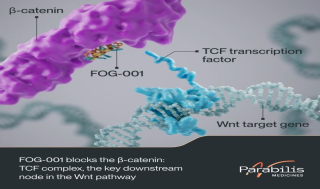 파라빌리스, 시리즈F 3.05억弗.."Wnt 타깃 펩타이드"