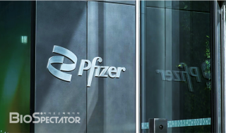 화이자 CEO "비만시장, '비아그라' 흡사..초장기에 전력"