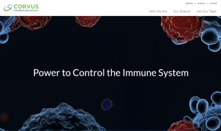 코르부스, ‘ITK 저해제’ 아토피 1상 "성공"..주가 175%↑
