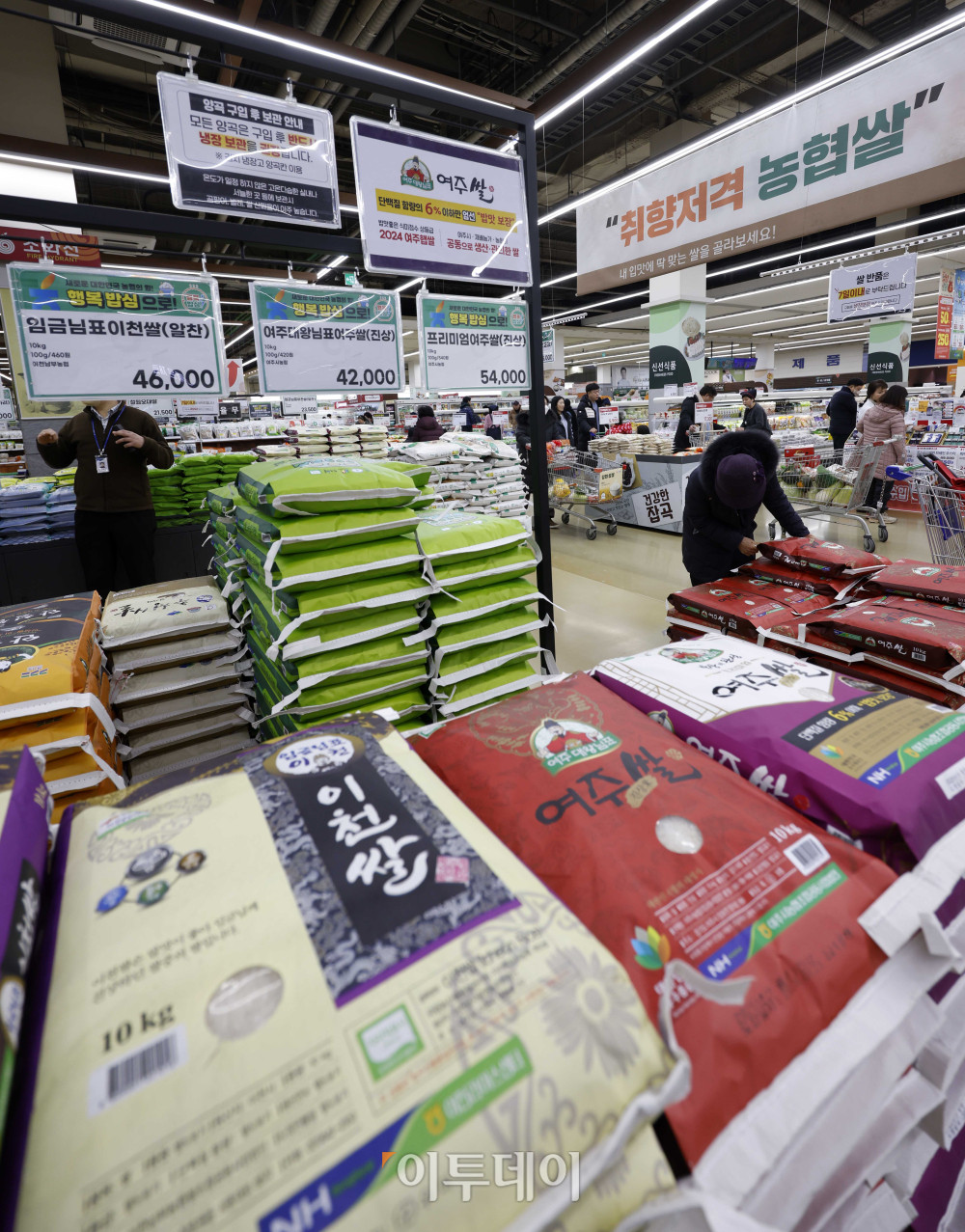 ▲설 명절을 앞두고 쌀값이 석 달 만에 최고치를 기록한 가운데 1일 서울 양재하나로마트에서 시민들이 장을 보고 있다. 이날 한국농수산식품유통공사(aT) 집계에 따르면 쌀 20㎏ 평균 소매가격은 지난달 29일과 30일 이틀 연속 6만5000원을 넘어섰다. 지난달 30일 기준 가격은 6만5302원으로, 작년 같은 기간(5만3180원)보다 22.8% 오른 수준이며 평년 대비로도 20.6% 높다. 정부는 명절 성수기를 앞두고 가격 부담을 완화하기 위해 할인 지원을 이어갈 방침으로, 쌀 20㎏당 최대 4000원을 지원할 계획이다. 고이란 기자 photoeran@