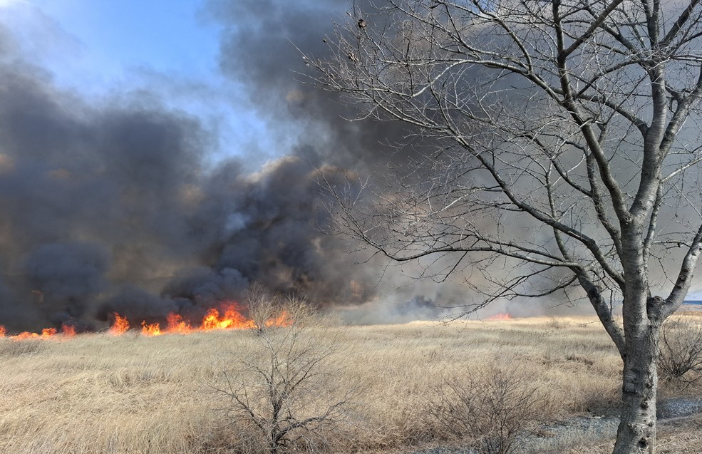 ▲[속보] 창원 수산대교 둔치 화재 이어 부산 기장도 화재 (사진제공=창원소방본부)