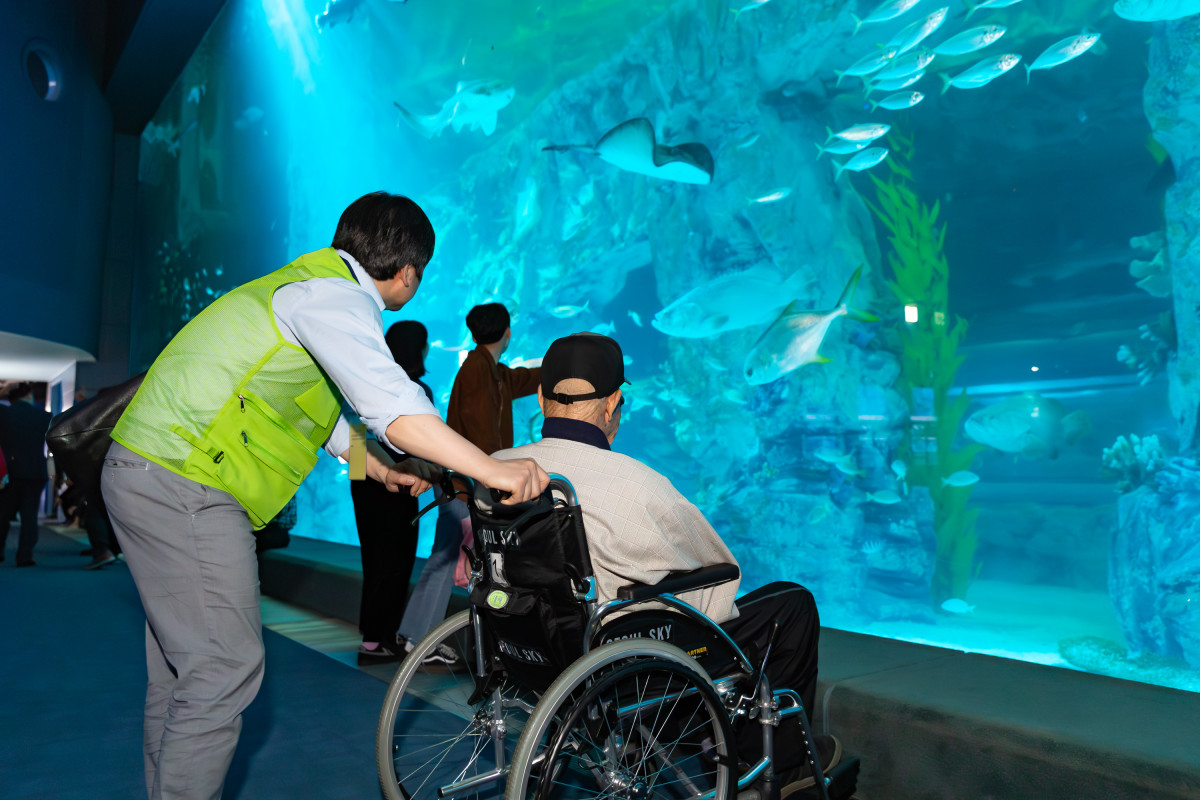 ▲수족관을 관람 중인 시민들의 모습 (사진제공=롯데월드)