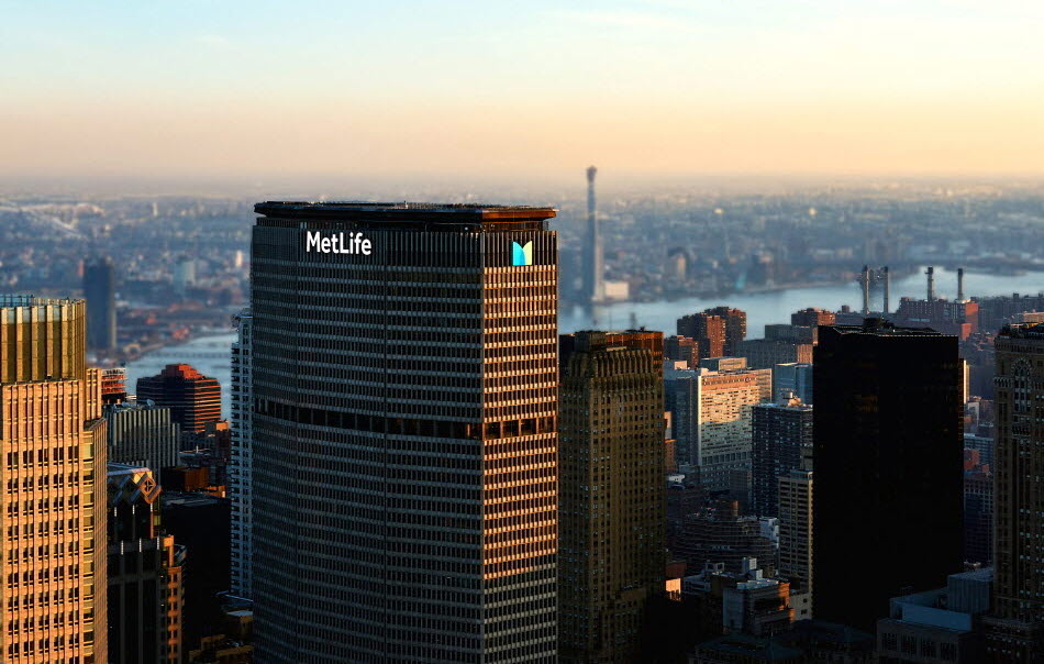 (제공 메트라이프생명)