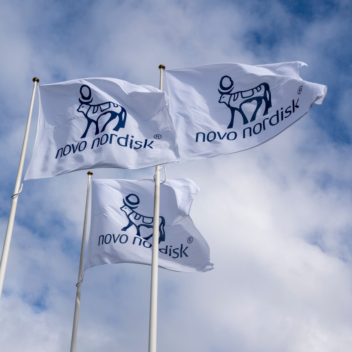 (사진제공=노보노디스크)