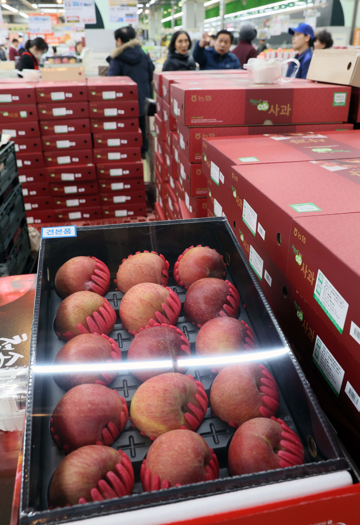 ▲소비자물가 상승률이 5개월 만에 한국은행의 물가관리목표(2%) 수준으로 낮아지며 안정적인 흐름을 이어갔지만 불안 요인도 적지 않다. 당장 설 연휴를 앞두고 2% 물가 상승률과 괴리된 먹거리 물가 상승세가 이어지고 있다. 3일 국가데이터처의 '2026년 1월 소비자물가 동향'에 따르면 지난달 소비자물가상승률이 석유류 가격 안정 등의 영향으로 지난해 8월 이후 가장 낮은 2.0%를 기록했다. 하지만 사과, 조기 등 성수품을 중심으로 먹거리 가격은 여전히 높은 수준을 나타냈다. 조기(21.0%), 쌀(18.3%), 고등어(11.7%), 사과(10.8%), 수입쇠고기(7.2%), 달걀(6.8%), 국산쇠고기(3.7%) 등이 높은 상승폭을 보였다. 이날 서울의 한 대형마트에서 시민들이 장을 보고 있다. 신태현 기자 holjjak@