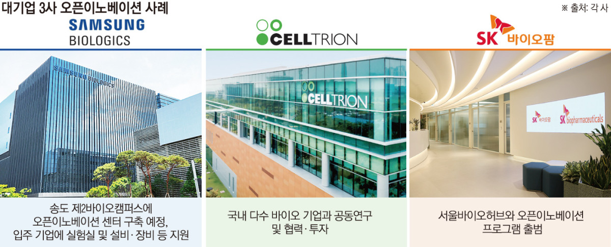 (그래픽=손미경 기자 sssmk@)